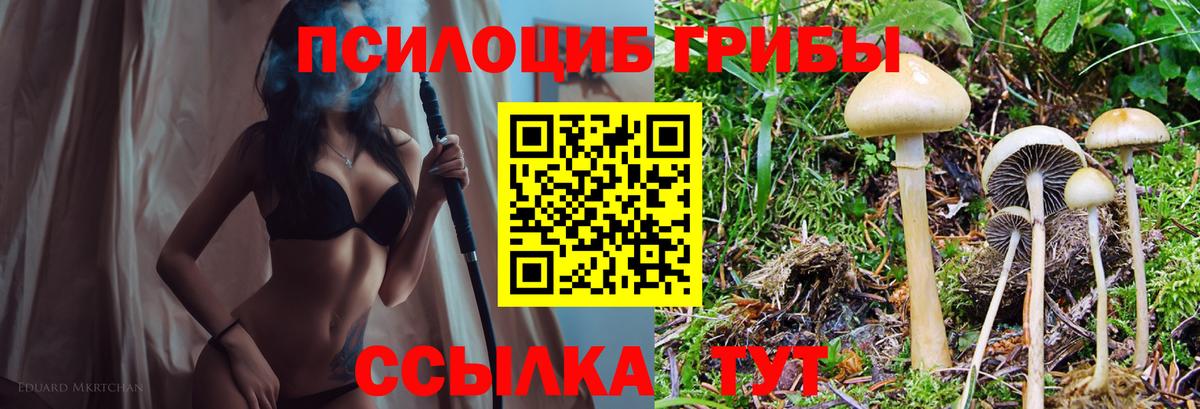 Городец  Псилоцибиновые грибы MAGIC MUSHROOMS  Вход с VPN 