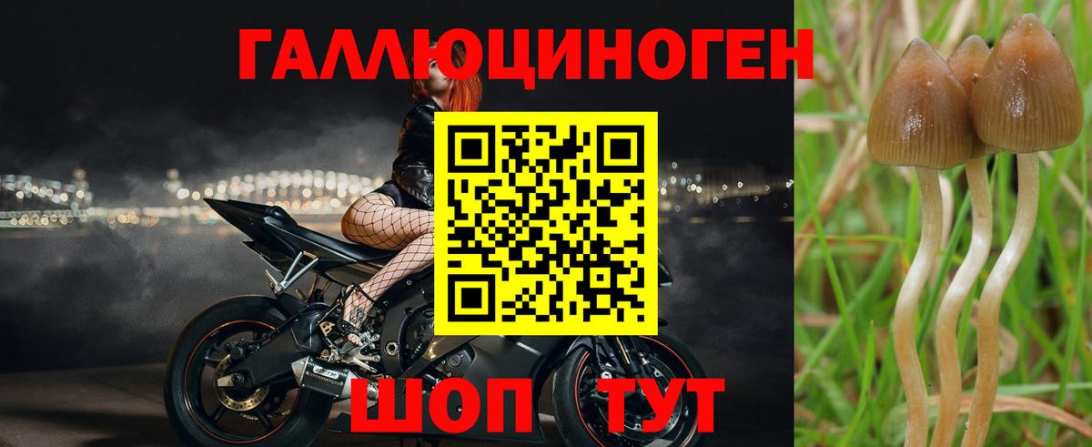 Псилоцибиновые грибы Magic Shrooms Городец
